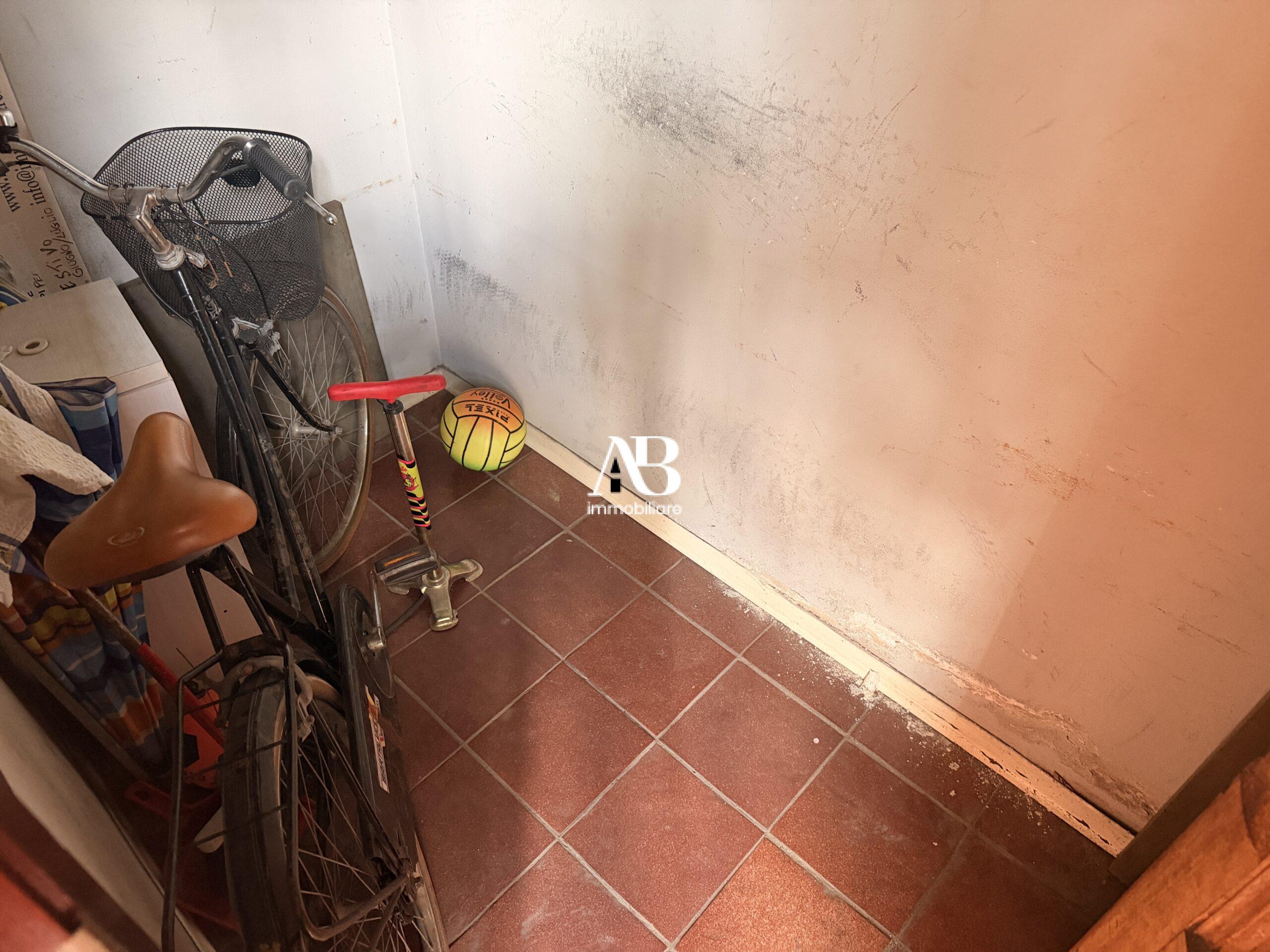 Viareggina con corte interna e terrazza